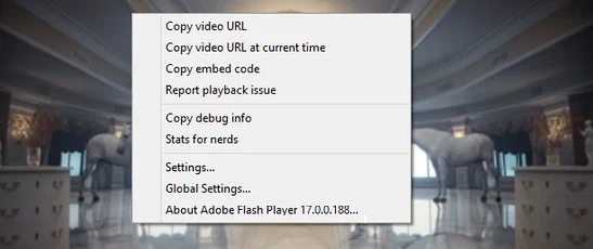 Adobe Flash Player menu